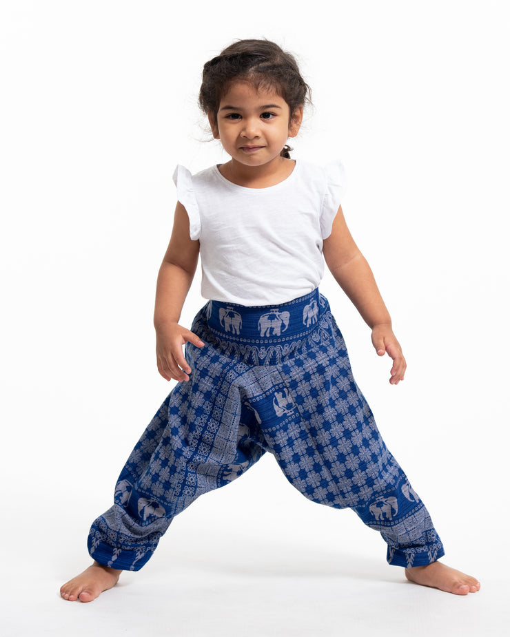 Whitewhale Baby Hippy Thai Rayon Harem Aladdin Pirate Kids Bohemian Baggy  Pants Navy Blue : Amazon.in: Clothing & Accessories